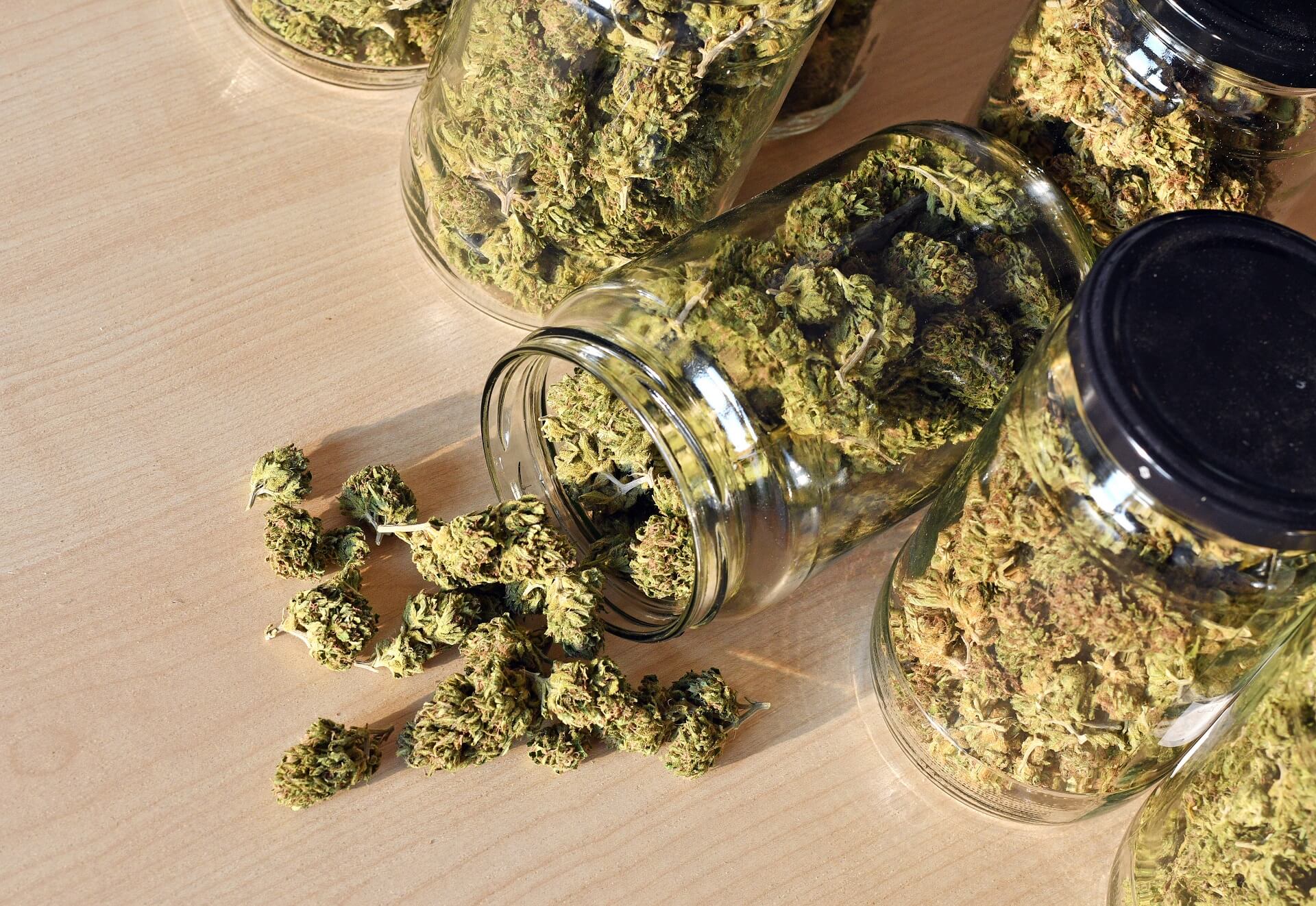 dry-and-trimmed-cannabis-buds-stored-in-a-glas-PP4THVA