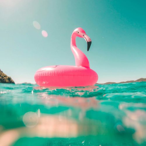 Flamingo floatie in the water during summer